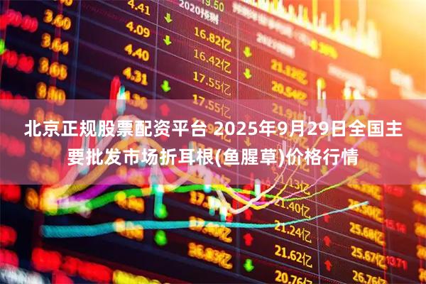 北京正规股票配资平台 2025年9月29日全国主要批发市场折耳根(鱼腥草)价格行情